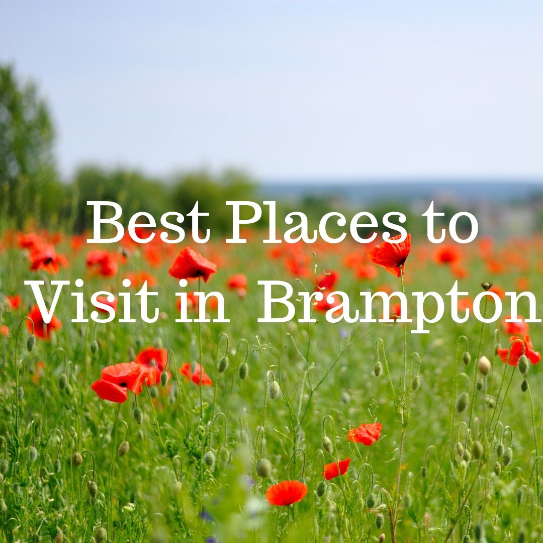 BEST PLACES TO VISIT IN BRAMPTON